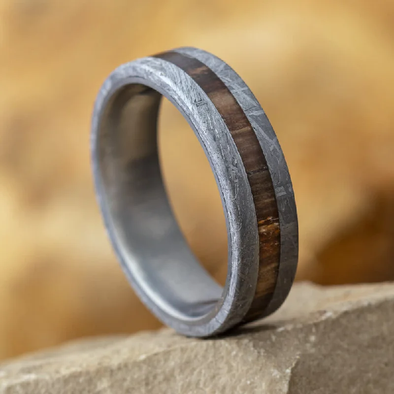 Meteorite and Petrified Wood Ring in Titanium Wedding Band